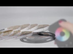 luzes de tira conduzidas da espiga RGBW