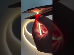 Luz de tira da ESPIGA