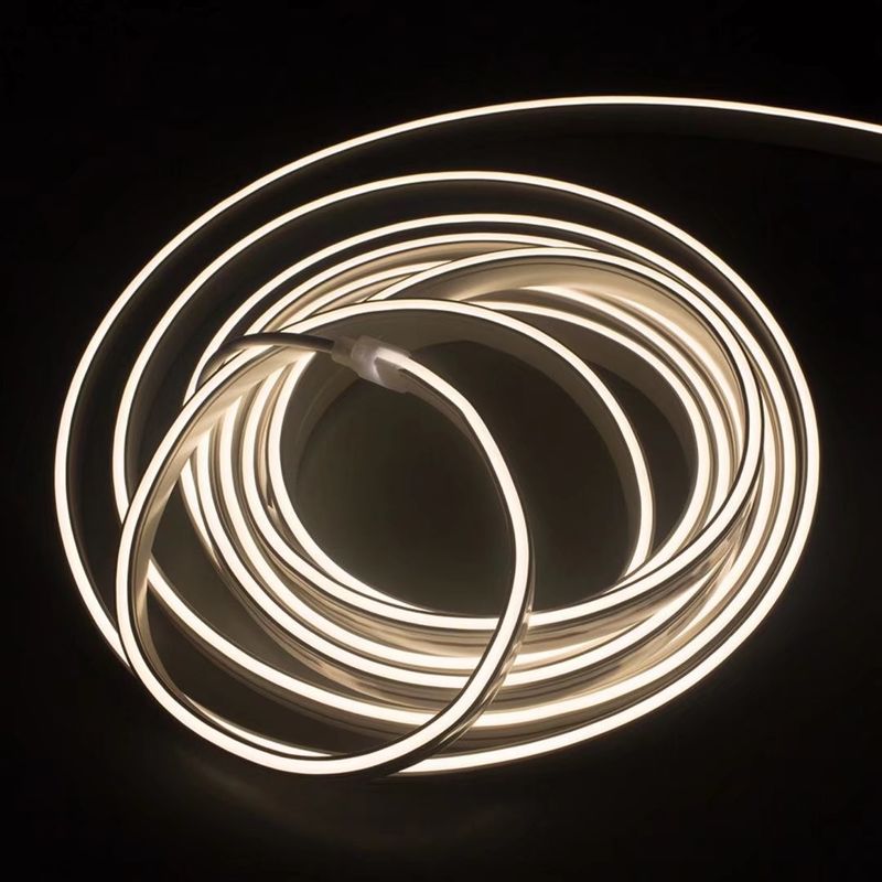 As luzes de néon da tira da corda do diodo emissor de luz do silicone flexível colorem IP65 exterior variável IP67