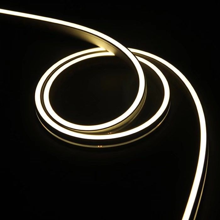 As luzes de néon da tira da corda do diodo emissor de luz do silicone flexível colorem IP65 exterior variável IP67