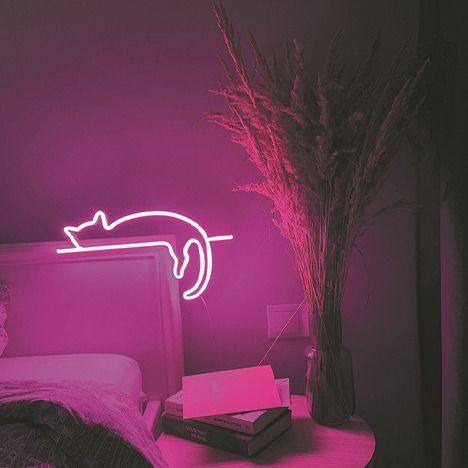 Decorativo impermeável de néon flexível brilhante da C.C. 12V do silicone da luz de tira do diodo emissor de luz