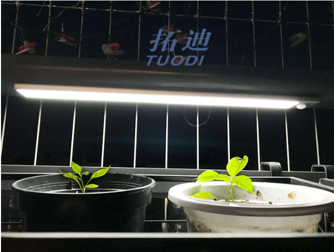 Luz flexível recarregável sem fio do armário do sensor de movimento do diodo emissor de luz de USB sob a luz contrária da iluminação de armário
